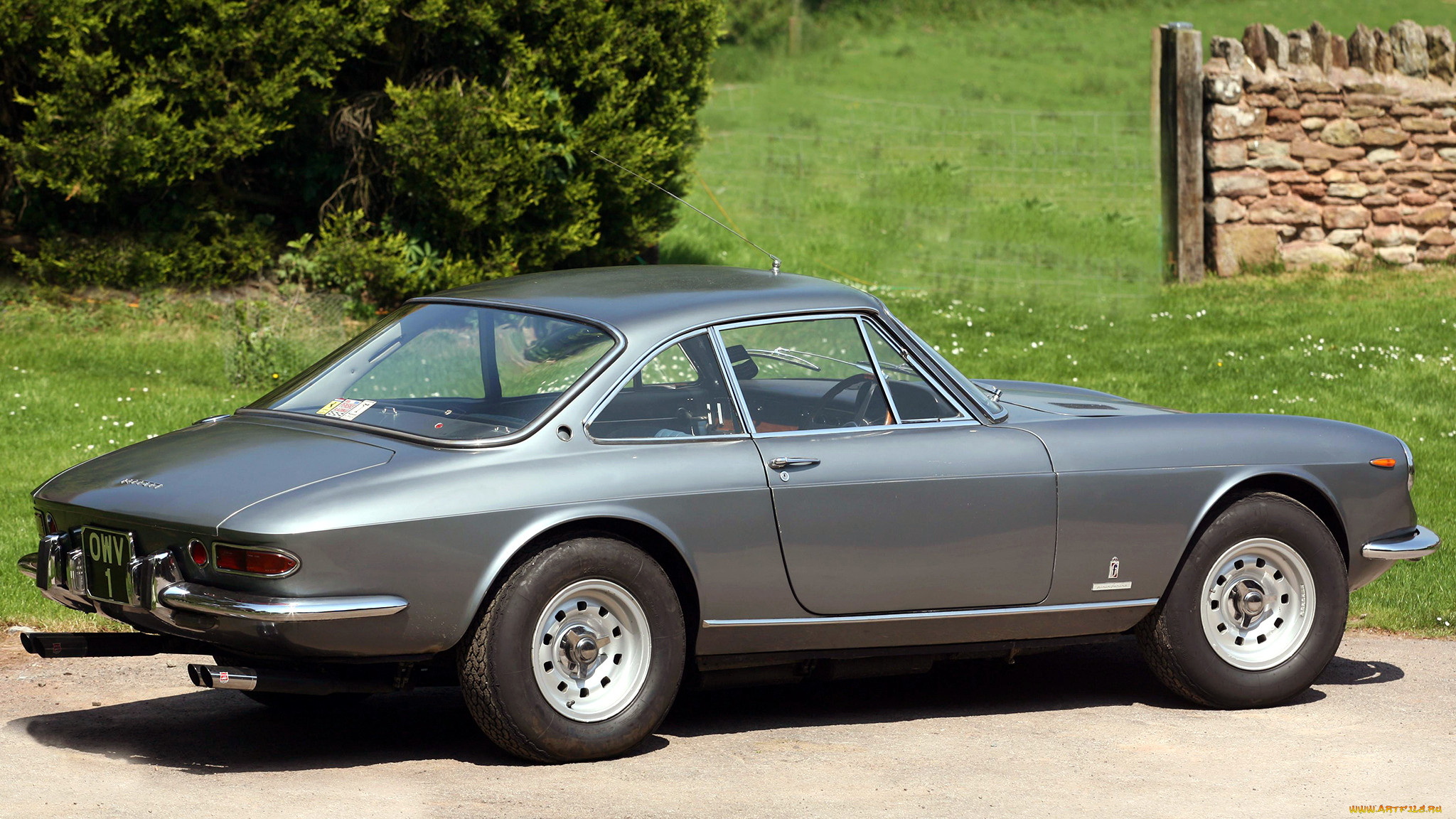 ferrari, 365, , s, p, a, , , 